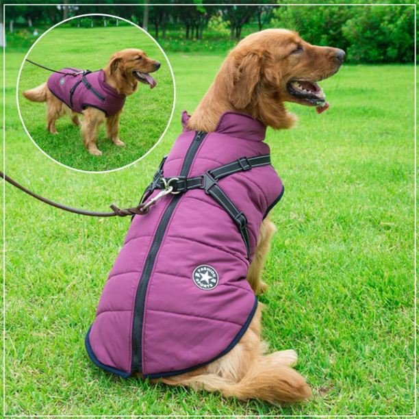 DogFashion™ neperšlampama žieminė striukė šunims