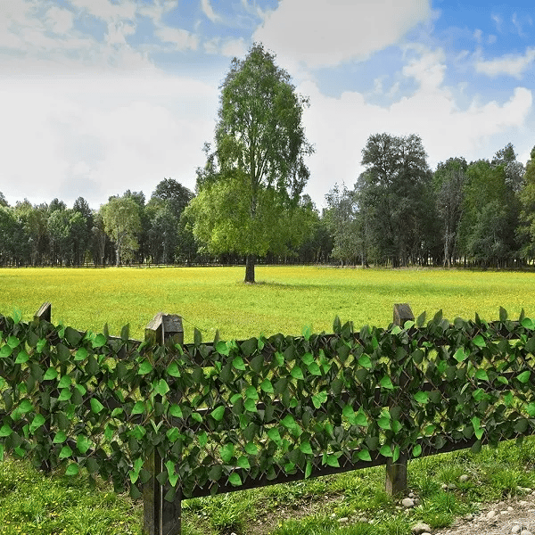 Tvora iš dirbtinių lapų 300x50cm 🏡