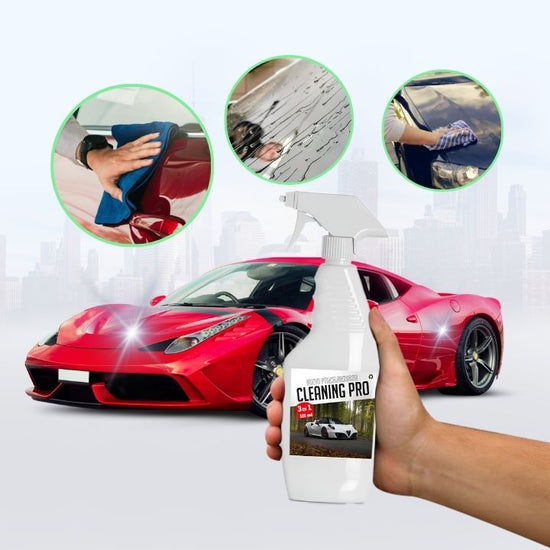 CleaningPro - valymo priemonė automobiliui